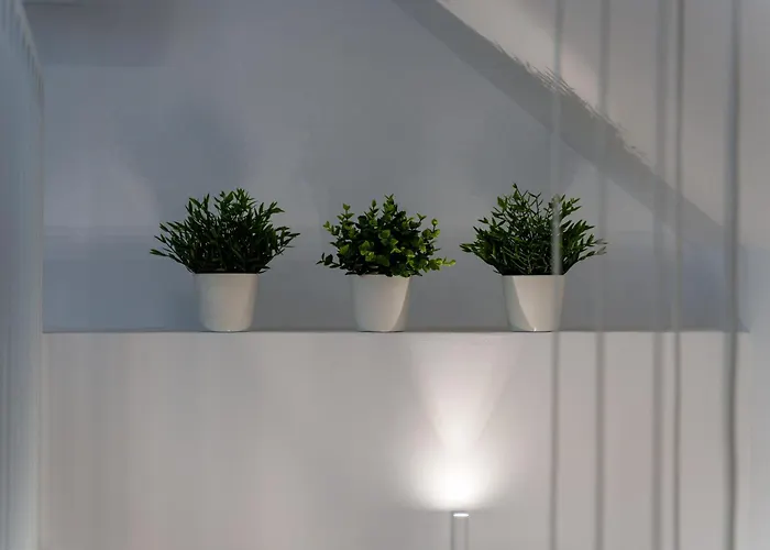 Raciborska 8 דירה *